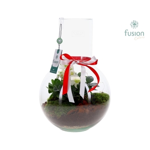 Green Bottle Suzanne Large met Helleborus