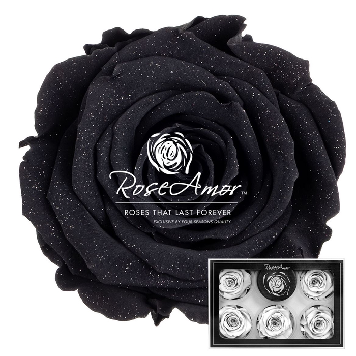 Xl Diamond Dust Bla01