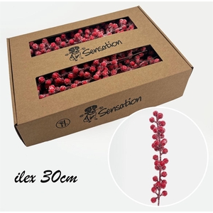 Zijde Berry Pick Medium Icy Rood