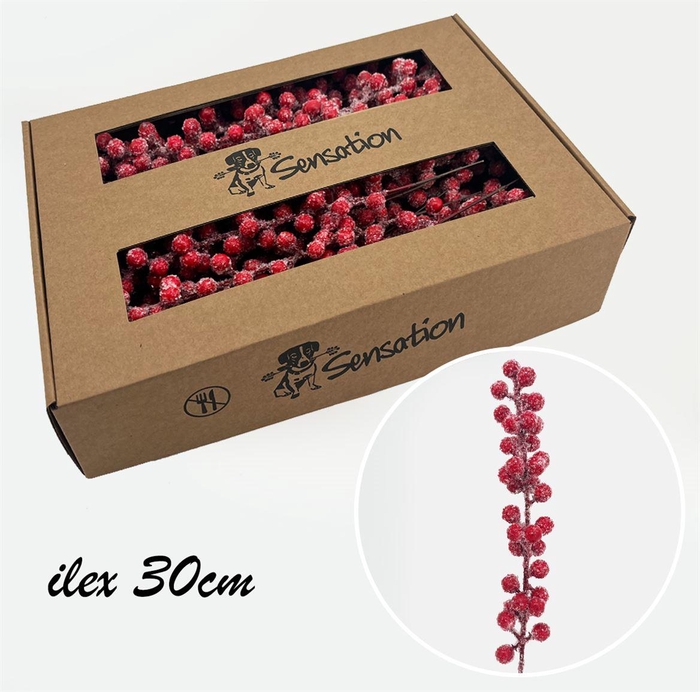 <h4>Zijde Berry Pick Medium Icy Rood</h4>