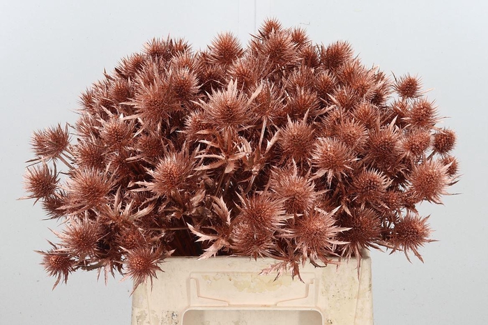 <h4>Eryn Magnetar Kl Bh Koper</h4>