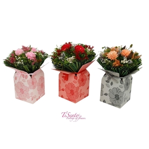 Droogbloemen bewerkt H%