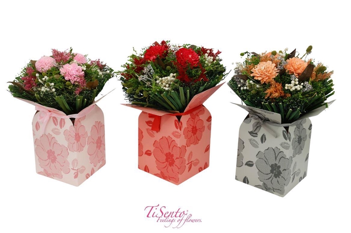 <h4>Droogbloemen bewerkt H%</h4>
