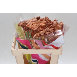 Bijsteker Mix +gl X40 Copper