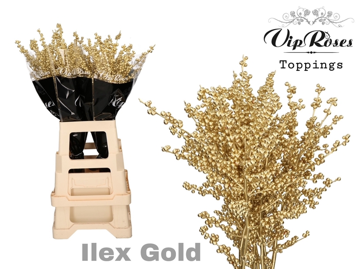 <h4>ILEX GOLD 80 cm</h4>