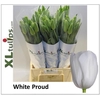 Tu En White Proud