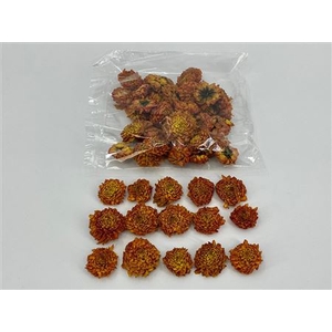 DRIED DAHLIA HEADS ORANGE BAG (50-6