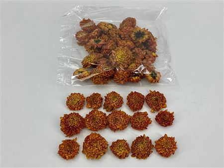 DRIED DAHLIA HEADS ORANGE BAG (50-6