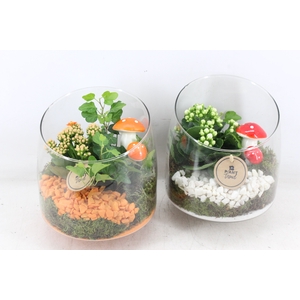 arr2 PL - Glas elegant schuin - oranje/wit