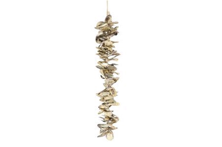 <h4>Garland Shell Oyster Talaba L46</h4>