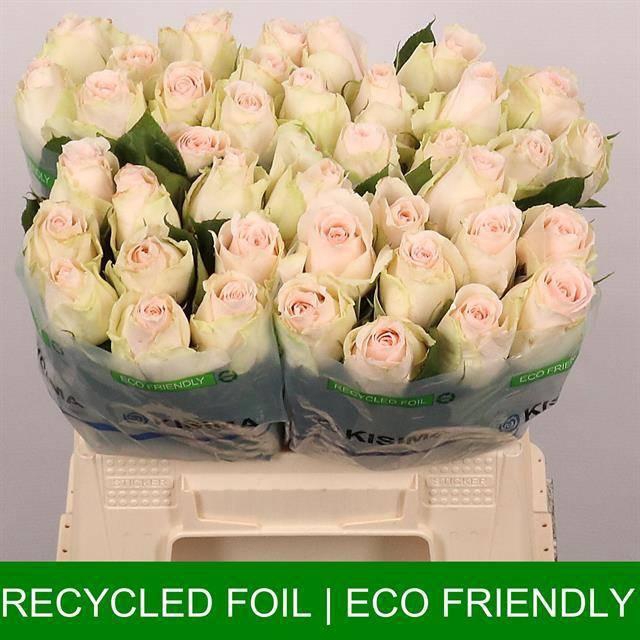 <h4>R GR HIGH & BRIDAL</h4>