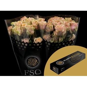 R GR Caramel Macchiato Box