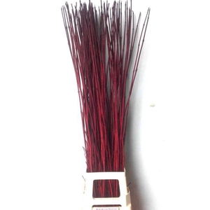 CORNUS SIBI ROOD 120 CM