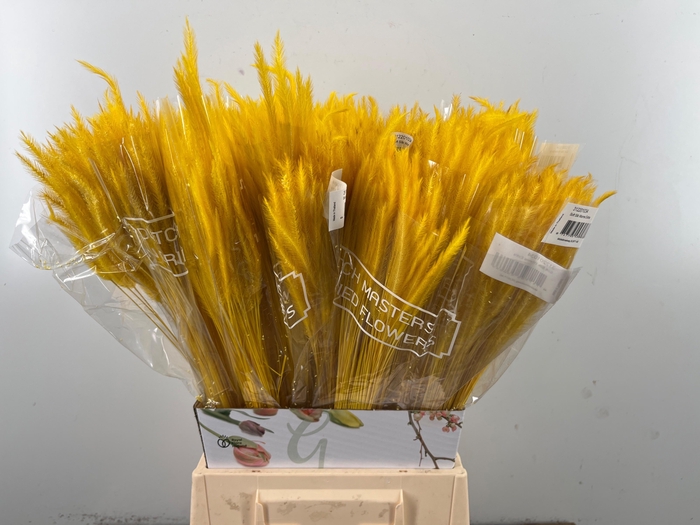 <h4>DROOGBL BEWERKT H%</h4>