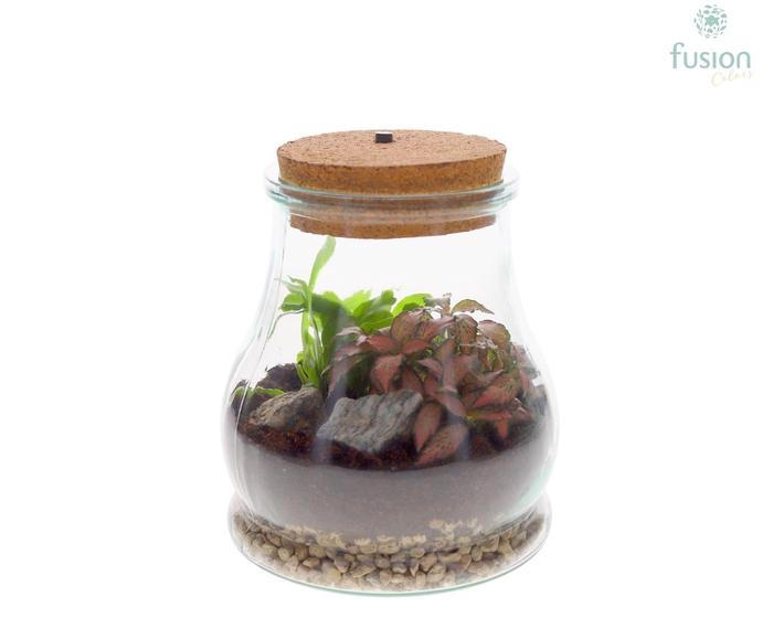 <h4>Terrarium Druppel met LED verlichting met arrangement</h4>