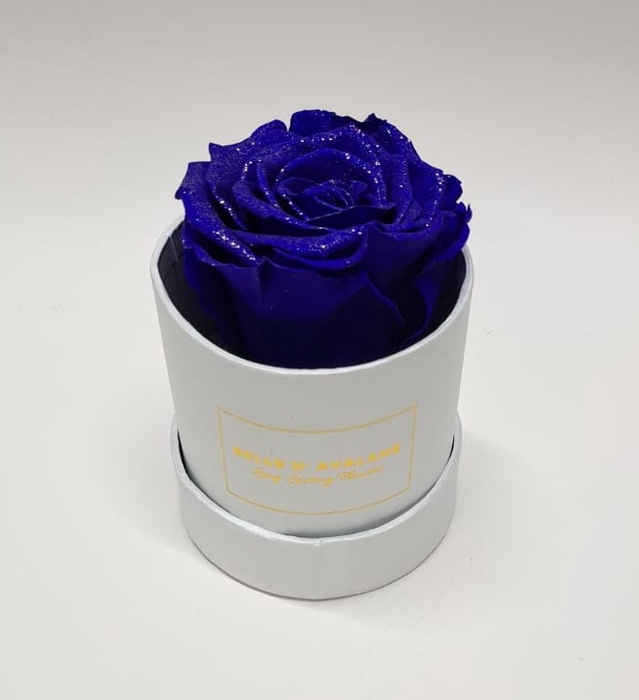 Box rd 8cm glitter wit-blauw