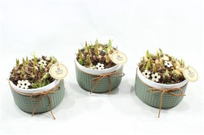 <h4>3441 Ker Green Tete</h4>