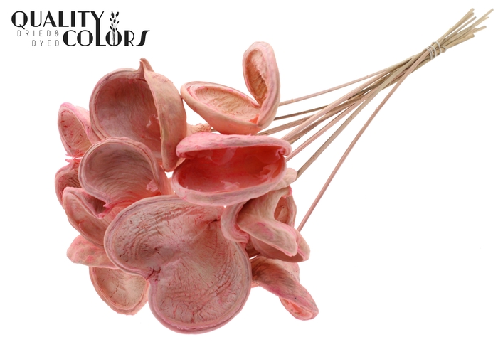 Badam on stem Intense Light Pink