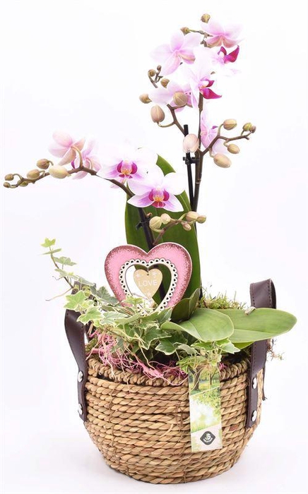 <h4>Touwmand met leer handv.16-18cm</h4>