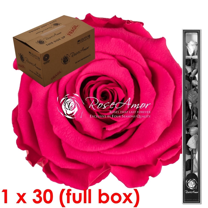 60cm Stem Pin03 Bulk