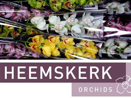 <h4>Cymb Mixed Stems</h4>