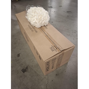 Dried hydrangea white