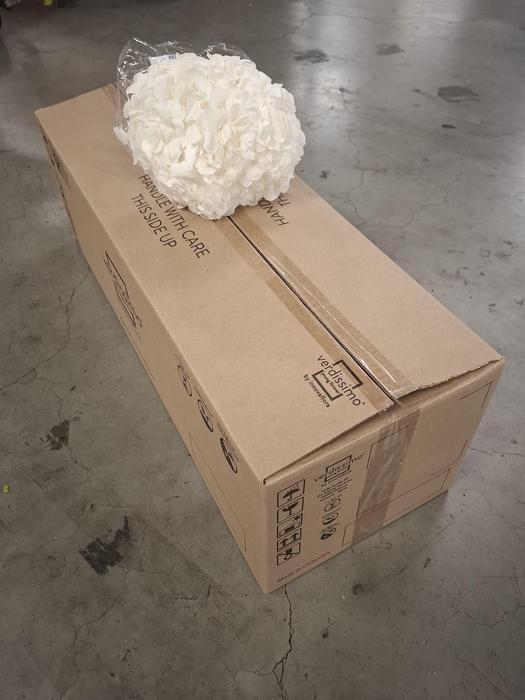 <h4>Dried hydrangea white</h4>