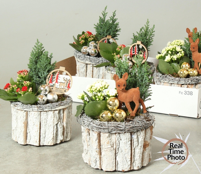 <h4>ARR KAMERPL</h4>