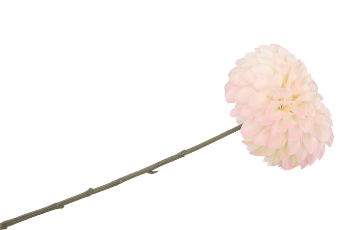 <h4>Silk Dahlia Bold White/light Pink 68cm</h4>