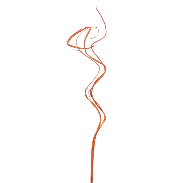 <h4>Curly 3pc T Orang</h4>