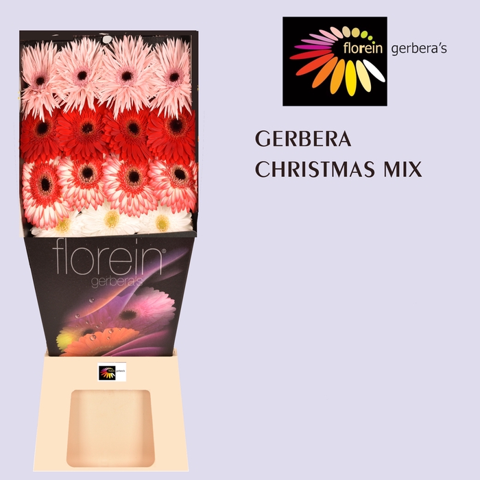 <h4>GE GR GEM Christmas mix Christmas mix</h4>