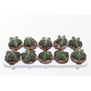 Astrophytum Myriostigma Monstruosa
