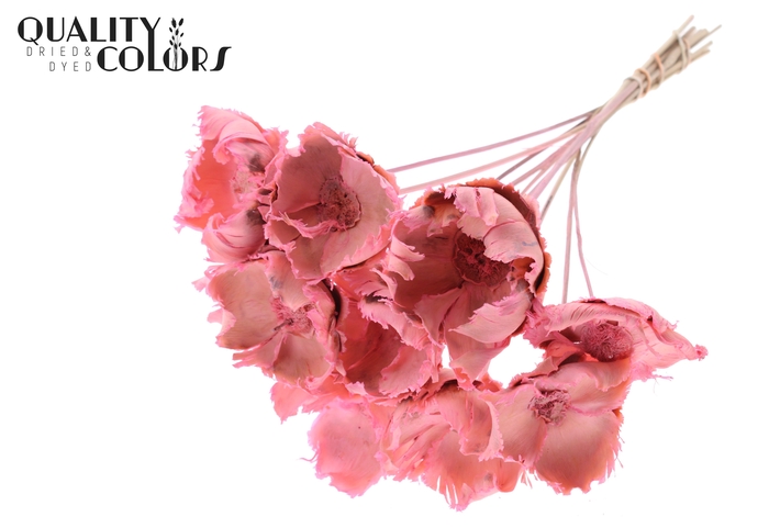 Palm cup on stem Bleached  Frosted Pink