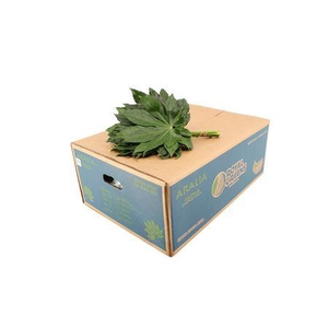 Aralia Small