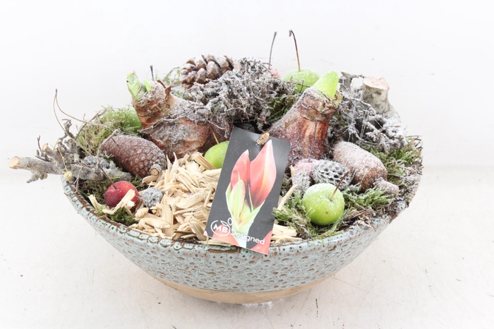 <h4>arr4 Amaryllis MB - Ker. schaal luxe</h4>