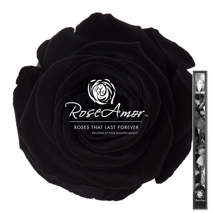 <h4>60cm Stem Bla01</h4>