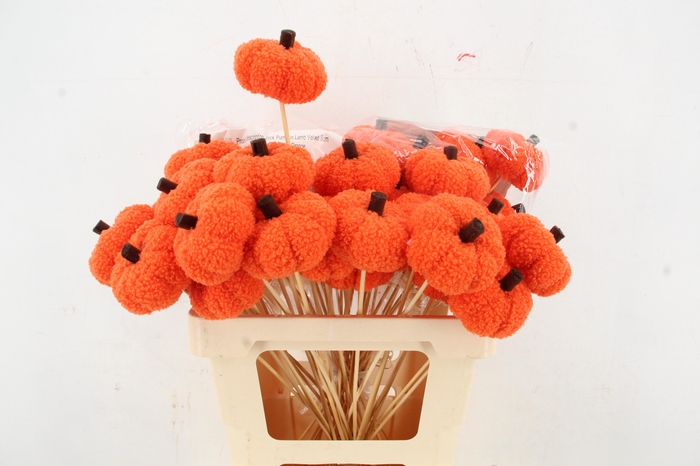 <h4>Stick Pumpkin Velvet 8cm D.Ora</h4>