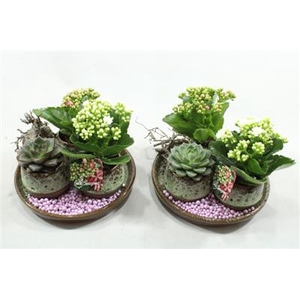 JA320 3 POTJES INDOOR BORDJE
