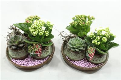 <h4>JA320 3 POTJES INDOOR BORDJE</h4>