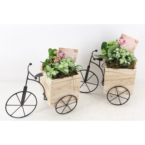arr2 TD - Driewieler - roze/wit