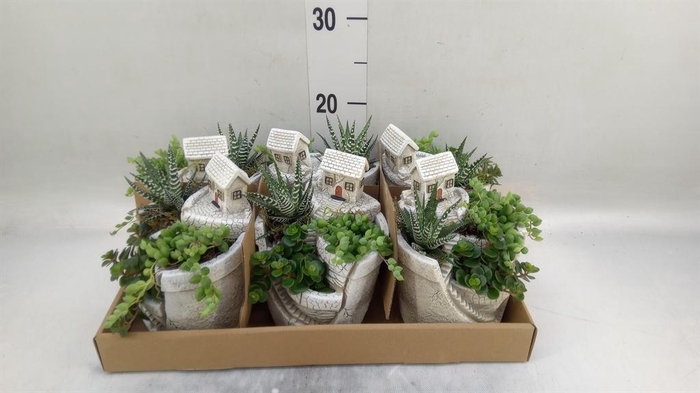 <h4>Arr.   Kamerplant Groen L%</h4>