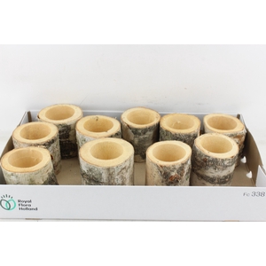 Arr3 Gb - Schors Pot X10