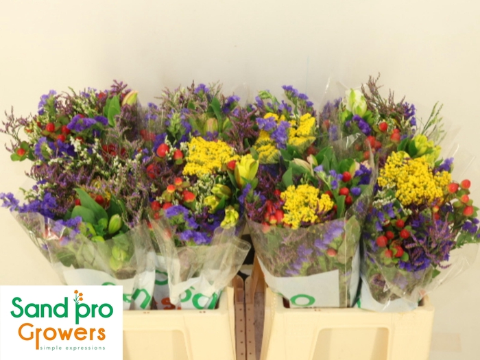 <h4>GEM ZOMERBOEKET</h4>