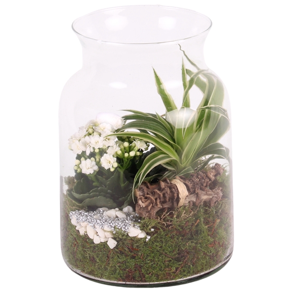 <h4>Yearround Glass: Milk Jug vase ø19cm with 2PP</h4>