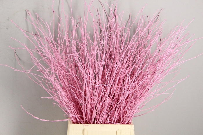 <h4>Betula Bs Paint Light Pink</h4>