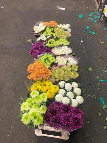 <h4>CHR G GEM IN FUST</h4>