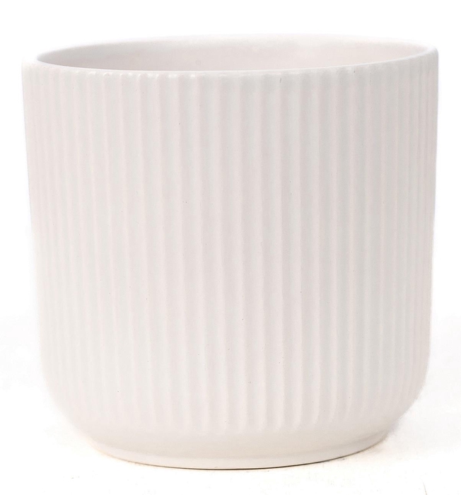 <h4>P&PURE Sophie ceramics white: 48 dozen x 12</h4>