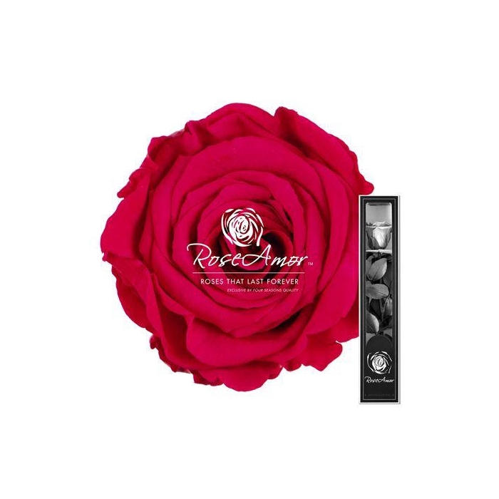 <h4>30cm Stem Pin03</h4>