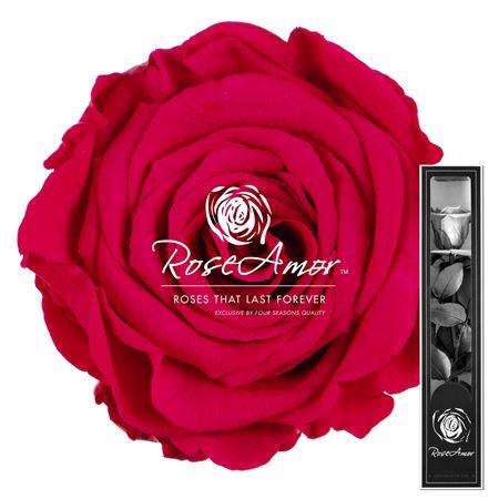 30cm Stem Pin03