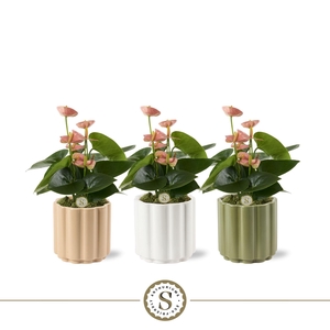 Monza Keramiek 9cm Spirit